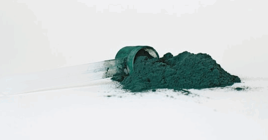 Poudre de pure spiruline crue déshydratée | 100g