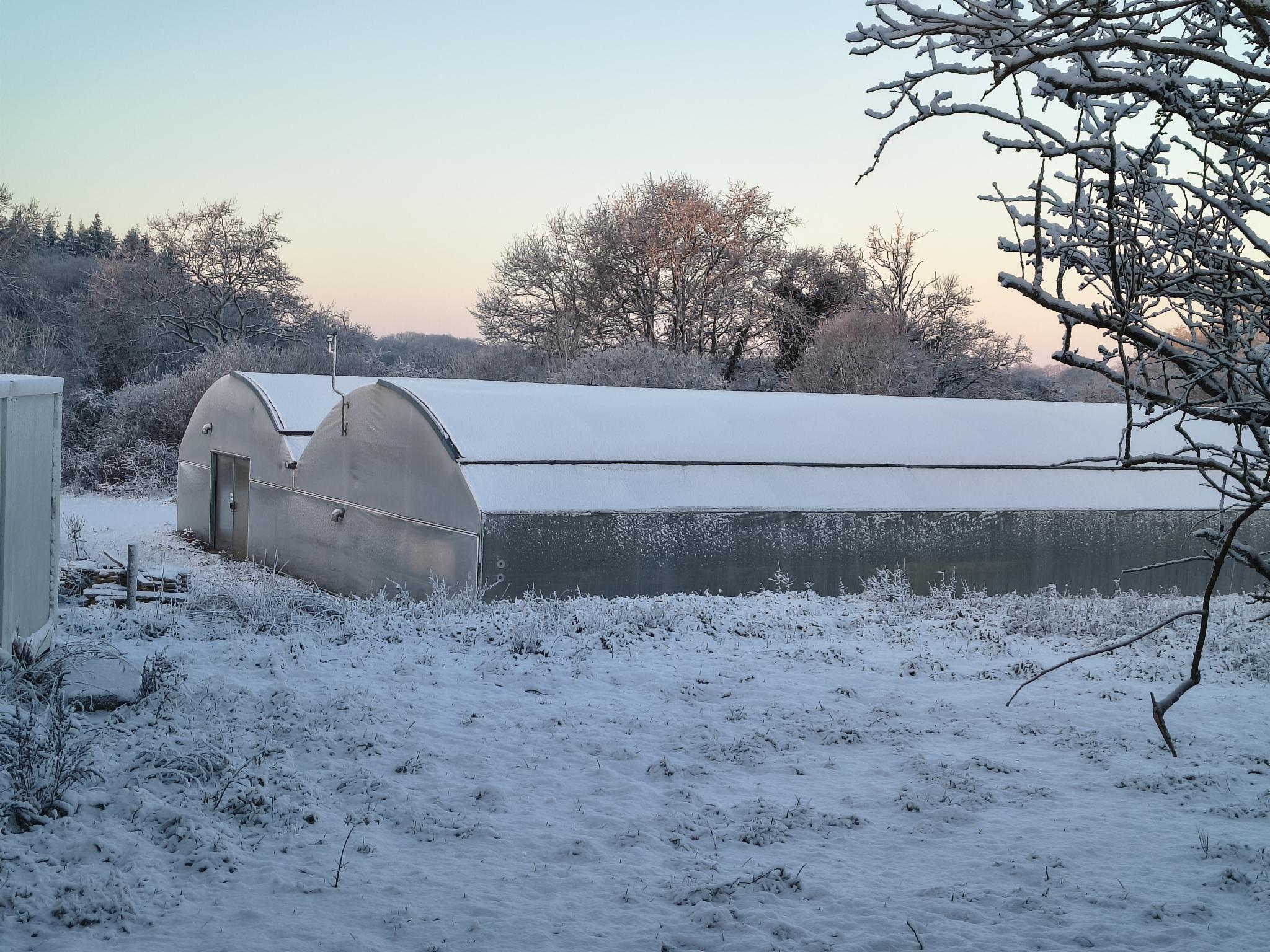 Newsletter de janvier 2026